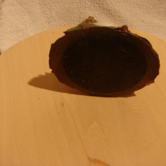 "G-38" Tom Clark &Tim Wolfe "It's A Tin" - Picture 4 of 4